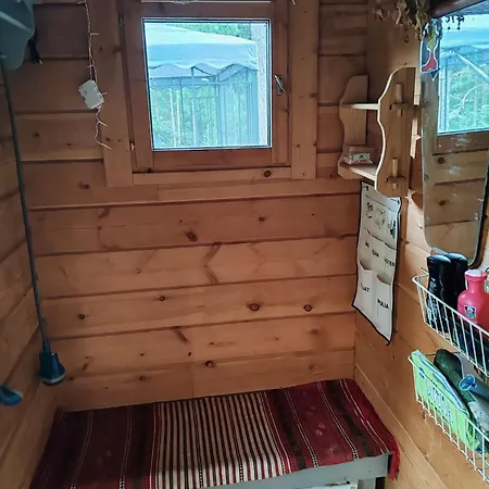 Metsaemoekki Lohja