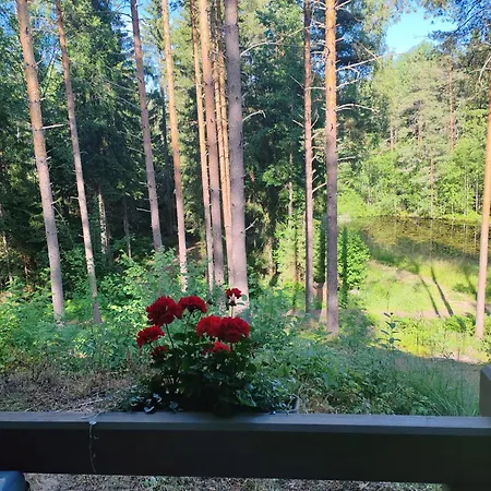 Metsaemoekki