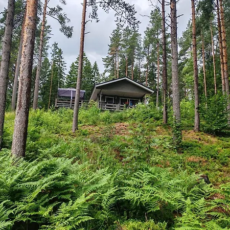 Metsaemoekki Lohja
