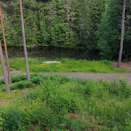 Metsaemoekki